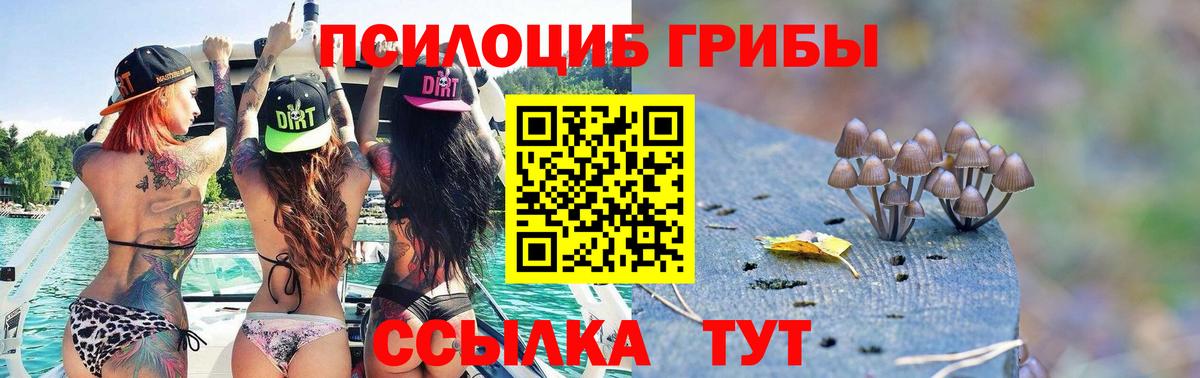 Псилоцибиновые грибы Psilocybe  Вход с VPN  Мелеуз 